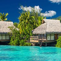 top-dive-resorts-in-the-world